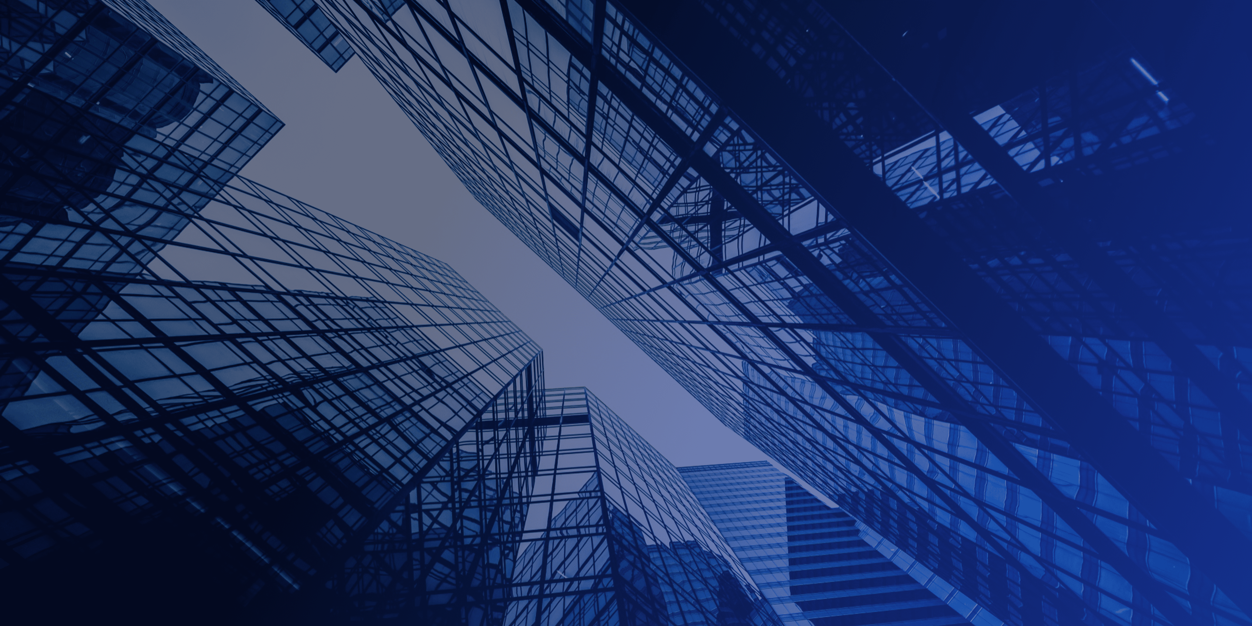 유재은 프랜차이즈 연구소 콘텐츠