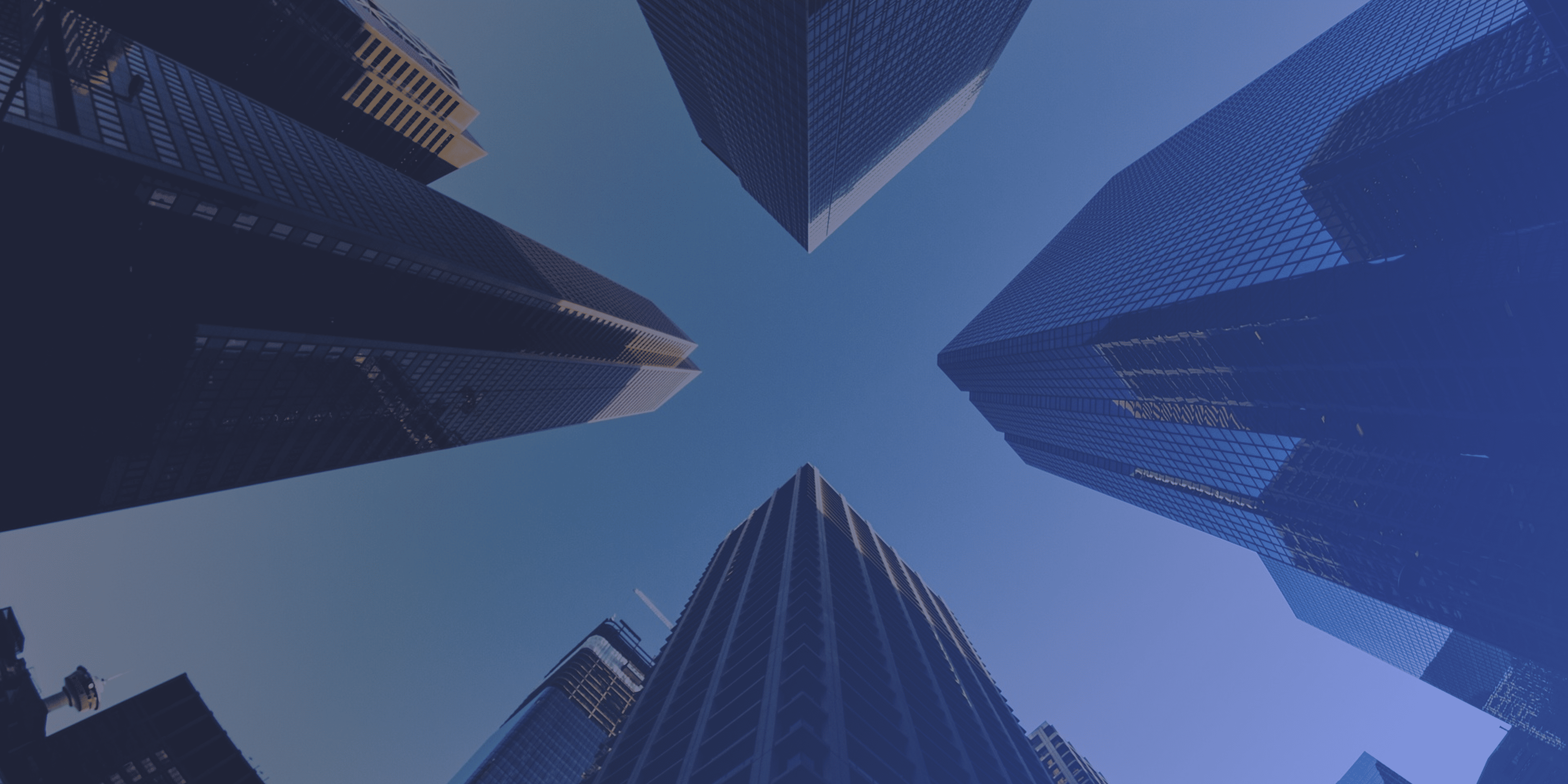 유재은 프랜차이즈 연구소 회사소개